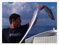 Battuta di Pesca