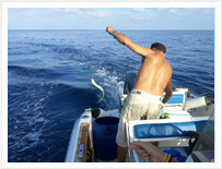Battuta di Pesca